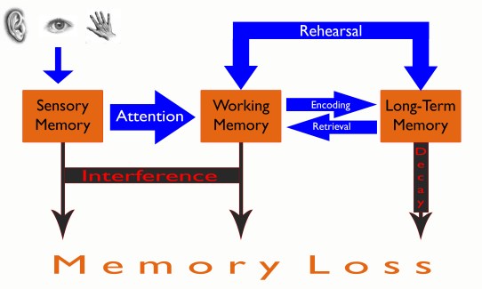Memory Graphic