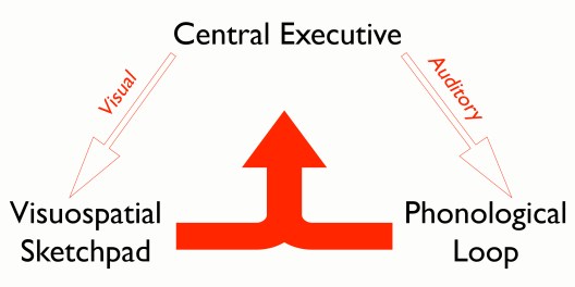 Working Memory Graphic