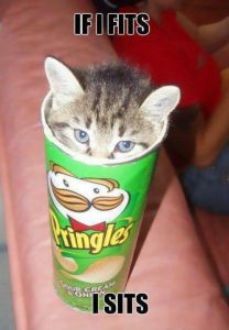 172990-If-It-Fits-I-Sits