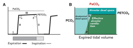 screen-shot-2016-11-22-at-4-21-23-am