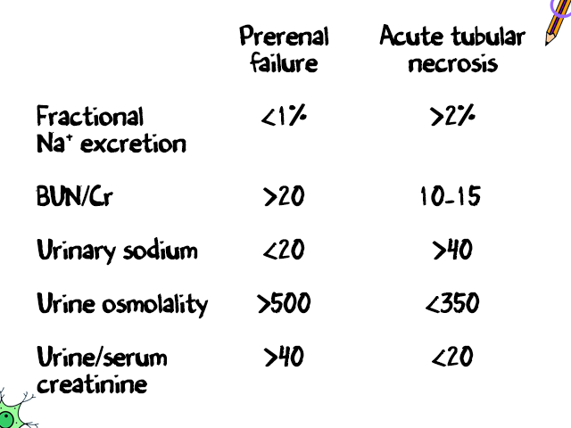 Image result for fractional excretion of sodium
